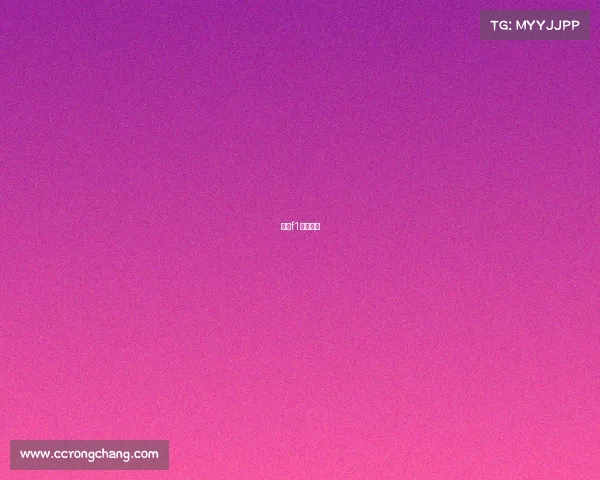 上海f1春夏赛事