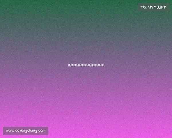 天津全运会女排赛事激情对决巾帼英姿赛场风云扣人心弦