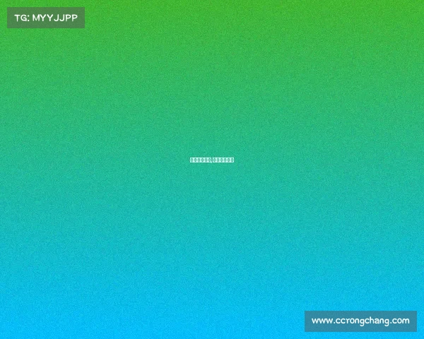 澳门赛事网站,澳门举办赛事