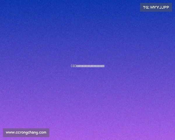 CEO赛事巅峰对决全球领袖智慧与勇气角逐大赛